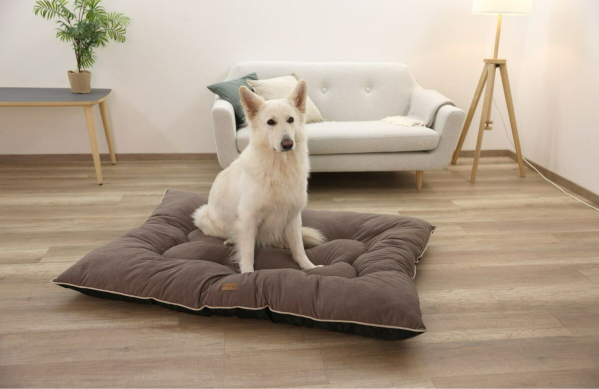 Hundebett Kerbl Bronze/Braun (80x60x9cm)