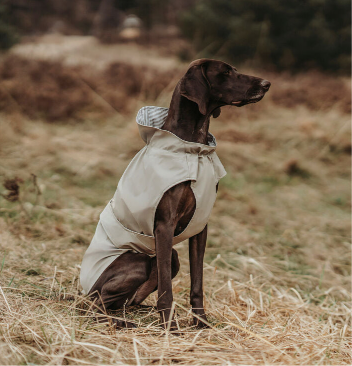 Regenjacke Hunter Milford Beige S (30 cm)