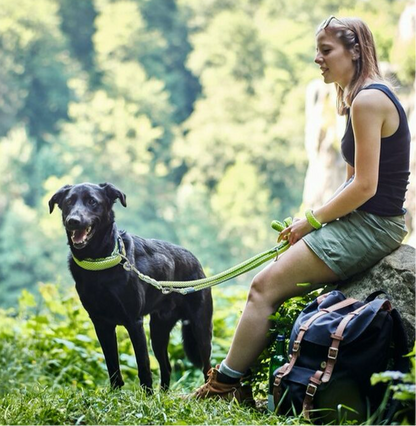 Hundeleine Hunter Hilo Braun (2m Länge, verstellbar)