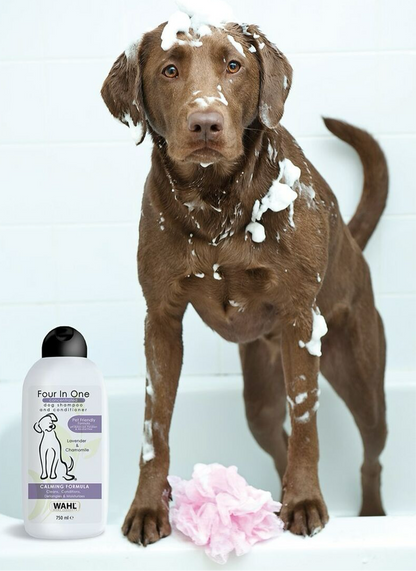 Hundeshampoo & Pflegespülung 2 in 1 (750ml)