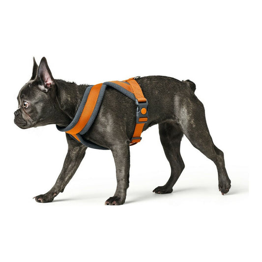 Hundegeschirr Hunter London Comfort Orange Größe L (68-91 cm)